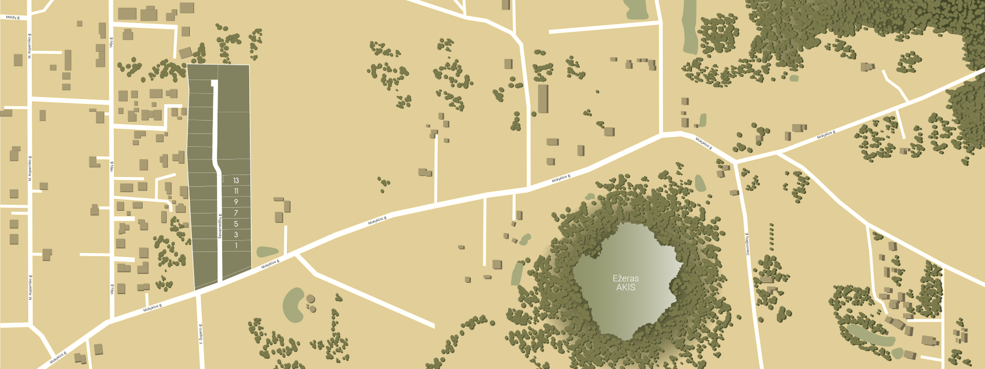 Village map illustration