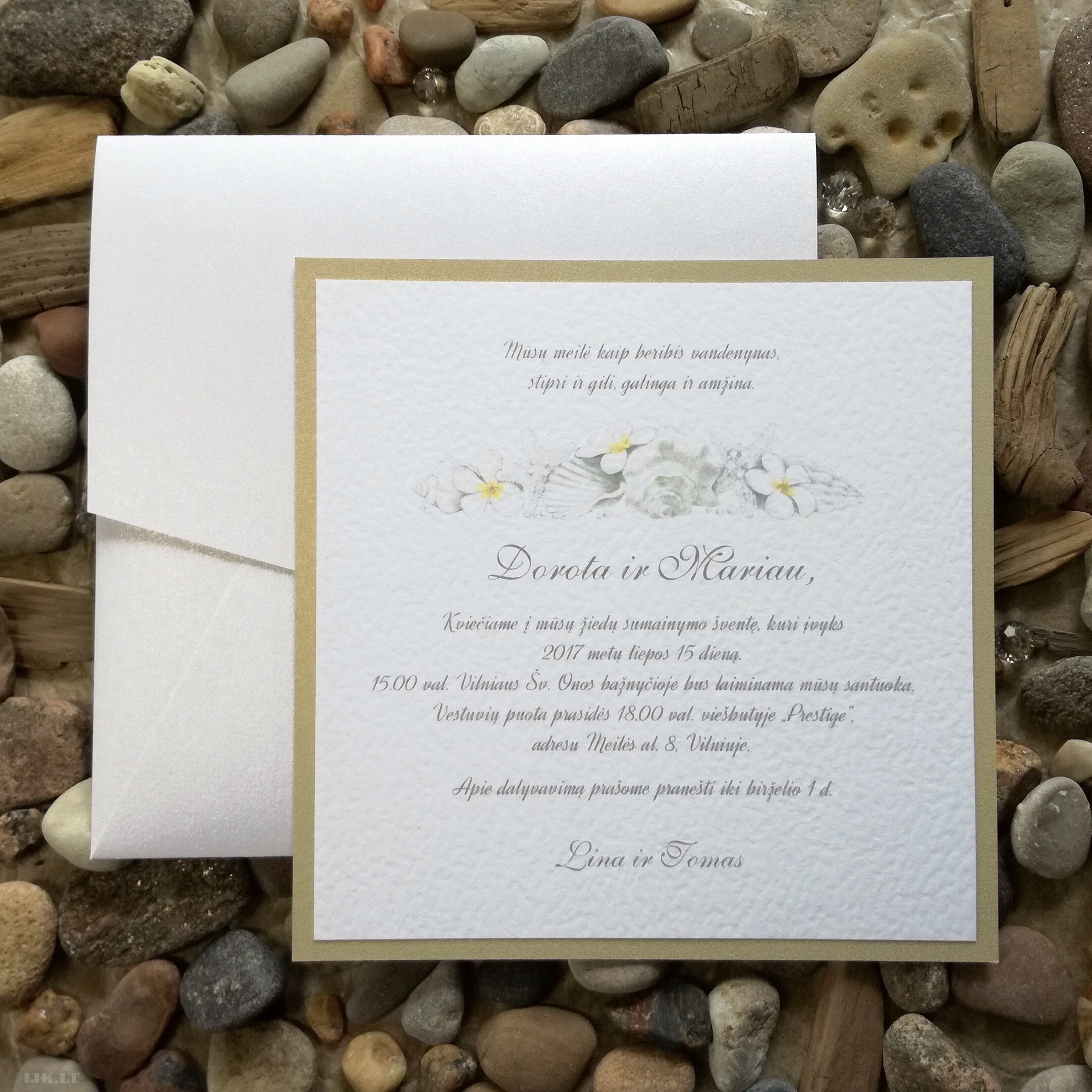 Sea shells. Wedding invitation illustration