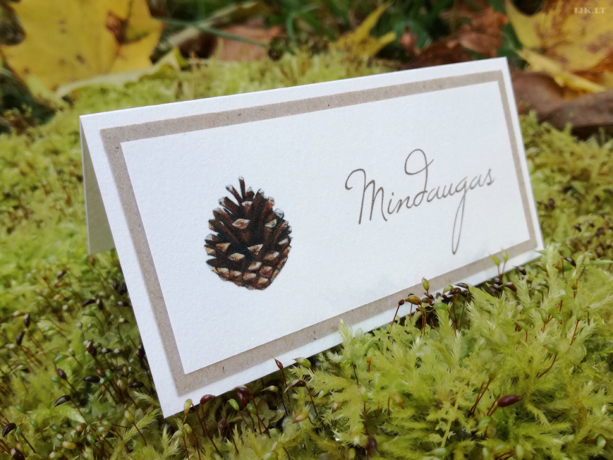 Pine cone illustration, guest card