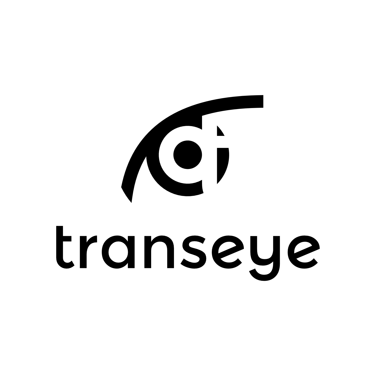 Logotipų kūrimas, logotipo dizainas, responsive logo, pilnas Transeye logotipas