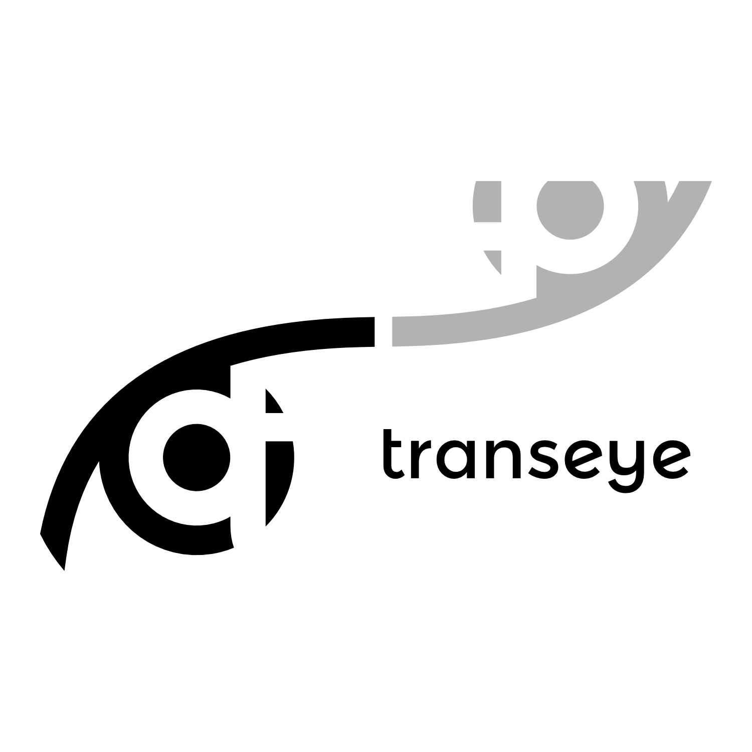 Logotipų kūrimas, logotipo dizainas verslui, responsive logo, Transeye logotipas reklamai ant automobilio