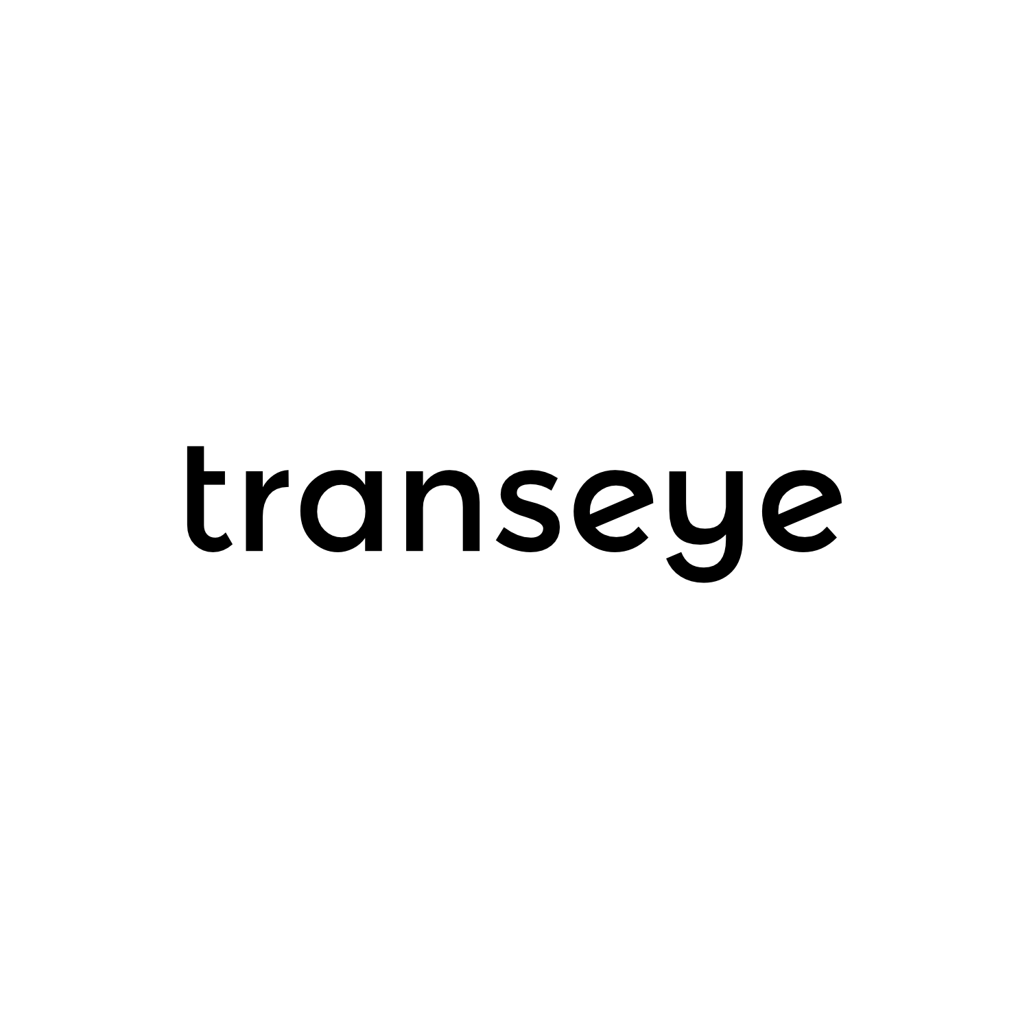 Logotipų kūrimas, logotipo dizainas verslui, responsive logo, žodinis Transeye logotipas