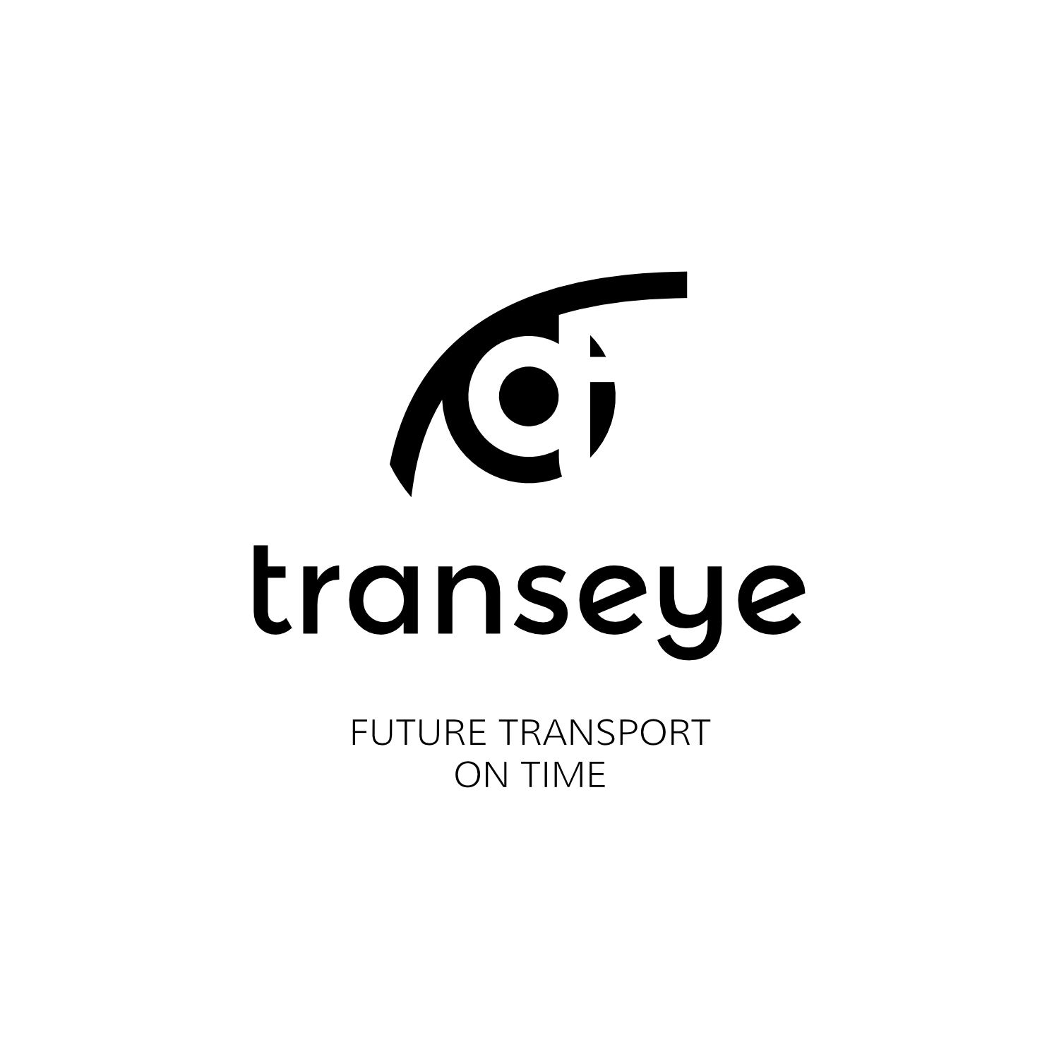 Logotipų kūrimas, logotipo dizainas verslui, responsive logo, Transeye logotipas su sloganu
